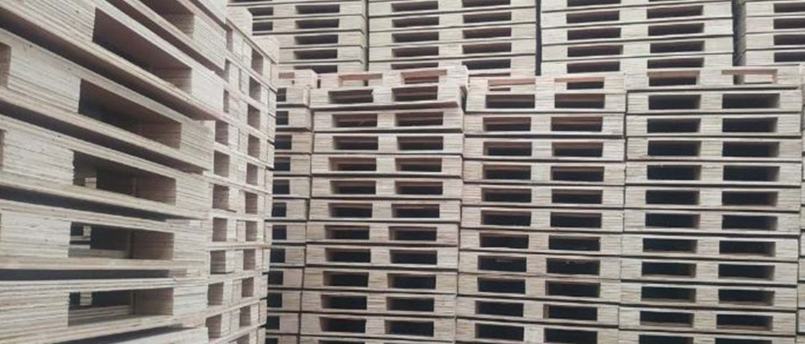 Gun construction shoot the nails in the wooden